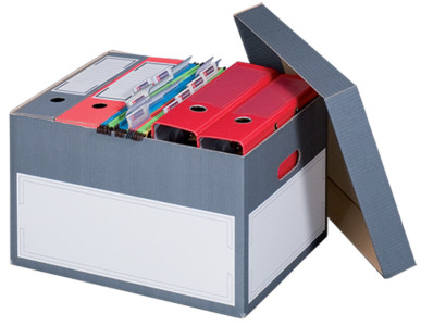 smartboxpro Boîte d'archives/transport L, gris, à couvercle