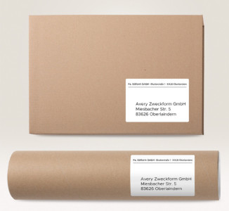 AVERY Zweckform étiquettes Multi-Usage, 48 x 21 mm, blanc