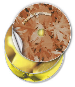 AVERY Étiquettes CD, diamètre: 117 mm, blanc brillant