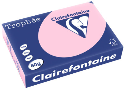 Clairalfa Papier Universel Trophée, A4, 80 g/m2, gris perle