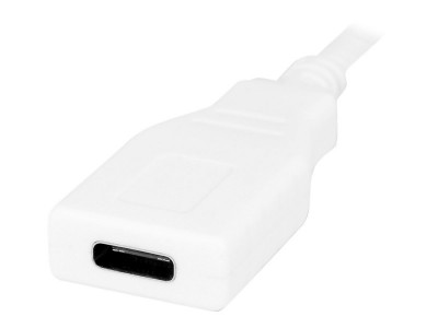 Urban Factory : TYPE-C cable extension 1M / WHITE