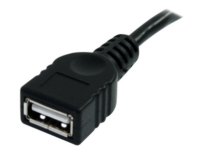 Startech : 6IN USB 2.0 extension ADAPTER cable - A TO A