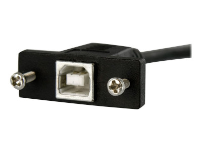 StarTech.com Cable USB 30 cm montage sur panneau B vers B - F/M