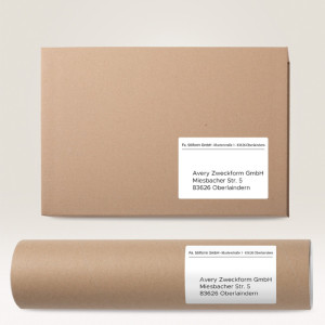 AVERY Zweckform étiquettes universelles, 210 x 297 mm, 10 feuilles