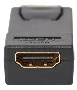 DIGITUS Adaptateur DisplayPort, DisplayPort - HDMI type A