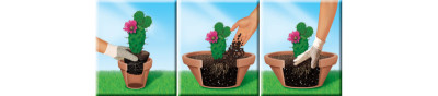COMPO CACTEA Terreau pour cactus et succulentes, 5 litres