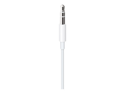 Apple : LIGHTNING vers 3.5 mm AUDIO cable (1.2M) - blanc