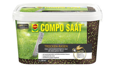 COMPO SAAT Trocken-Rasen, 2 kg für 80 qm