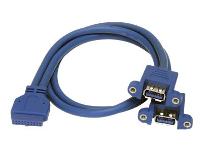 Startech : 2 PORT PANEL MOUNT USB3.0 cable USB A TO MOTHERBOARD HEADER