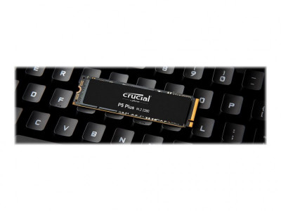 Crucial : CRUCIAL P5 PLUS 500GB 3D NAND NVME PCIE M.2 SSD