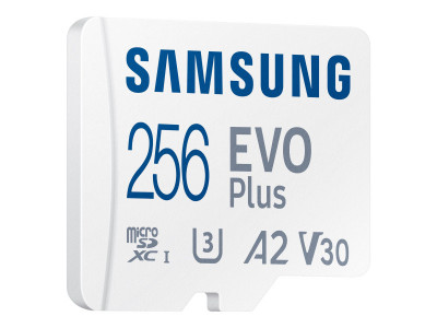 Samsung : EVO PLUS (2021) 256GB