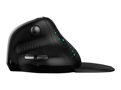 Urban Factory : ERGO PRO MAX: WIRELESS RIGHT HAND MOUSE - 2.4GHZ - BT 5.0 - R