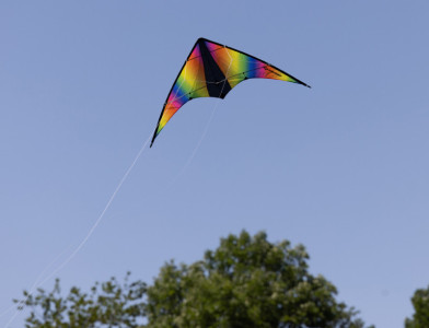 SCHILDKRÖT Cerf-volant acrobatique Stunt Kite 160