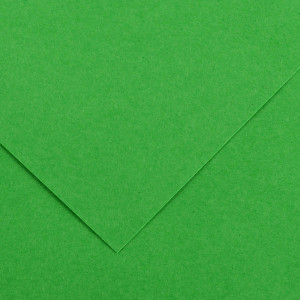 CANSON Papier Vivaldi, 500 x 650 mm, 240 g/m2, vert franc