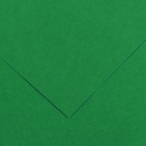 CANSON Papier Vivaldi, 500 x 650 mm, 240 g/m2, vert mousse