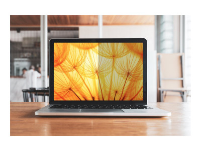 3M : BRIGHT SCREEN PRIVACY FILTERpour 14.0IN 16:9 LAPTOP