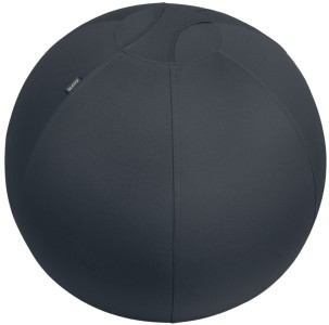 LEITZ Ballon d'assise Ergo Active, diamètre: 750 mm, gris
