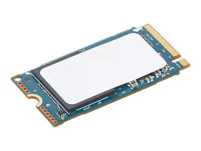 Lenovo : THINKPAD 512G M.2 2242 SSD