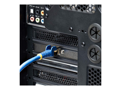 Startech : 2.5G M.2 NETWORK card INTEL - NBASE-T PCIE ETHERNET NIC/LAN