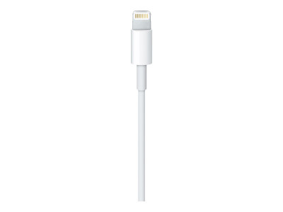 Apple : LIGHTNING TO USB cable (0.5 M) ML