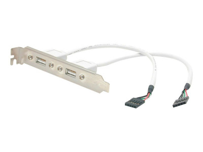 Startech : EQUERRE USB 2 PORTS ADAPTATEUR SLOT USB - FAIBLE ENCOMBREMENT