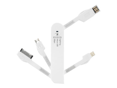 Dicota : SMART CONNECT 4-IN-1 USB/MICRO-USB/APPLE LIGHT/30 PIN