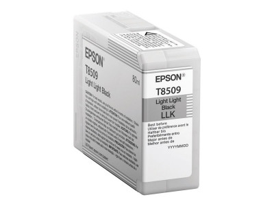 Epson Singlepack LIGHT Noir T850900 ULTRACHROME HD encre 80 ml