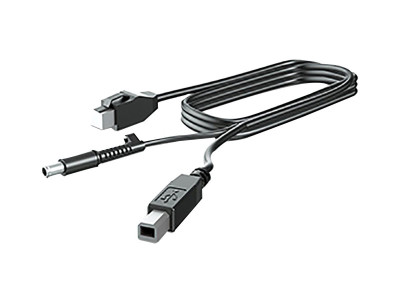 HP : 300CM DP USB B-A CABLES .