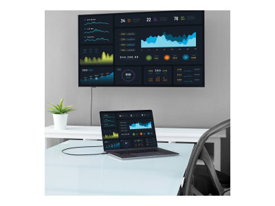 Startech : CABLE ADAPTATEUR USB TYPE-C VERS VGA de 2 M - 1920X1200