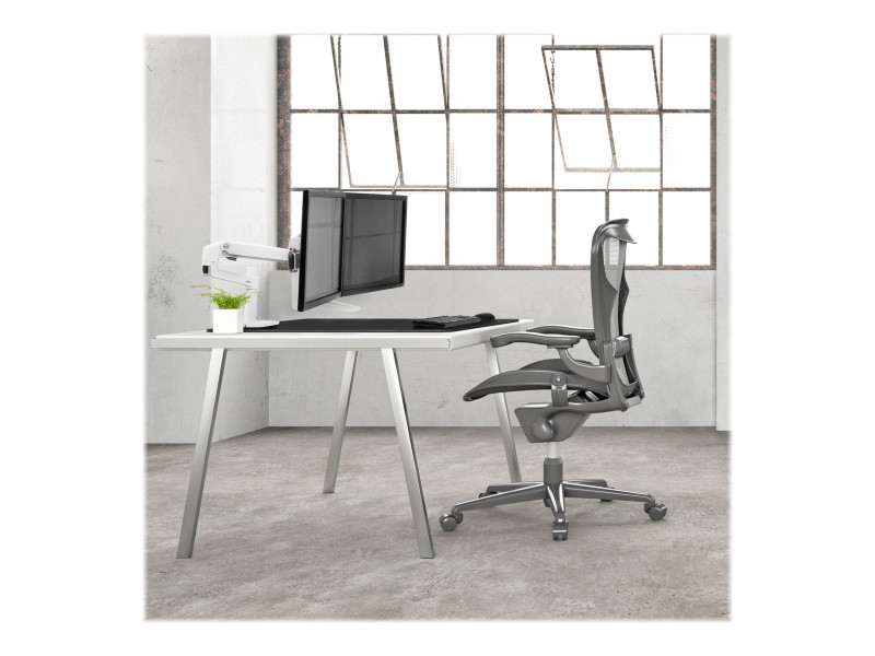 Ergotron : LX DESK DUAL DIRECT ARM BRIGHT WHITE TEXTURE