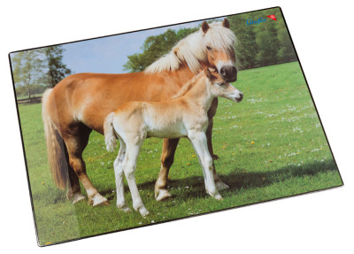 Läufer Sous-main cheval et poulain, 400 x 530 mm