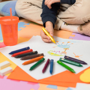 BIC Crayon de cire Plastidecor Triangle, étui de 12