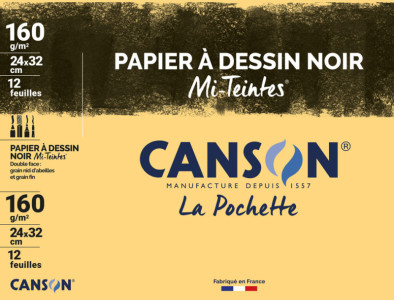 CANSON Papier dessin Mi-Teintes, 320 x 240 mm, assorti Vives