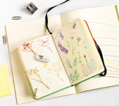 BIC Gomme en caoutchouc Galet, blanc, oval BIC Gomme en caoutchouc Galet, blanc, oval