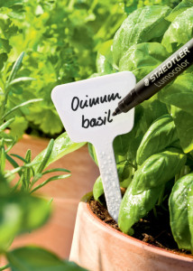 STAEDTLER Marqueur pour le jardin Lumocolor garden, noir