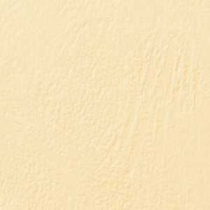 GBC Couverture pour reliure LeatherGrain, format A4,