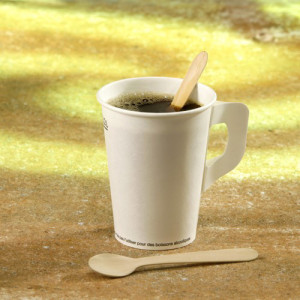 PAPSTAR Cuillère à café en bois 