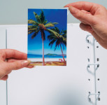 HERMA Transparol Coins photos, extra grand, bandes de 2, HERMA Transparol Coins photos, extra grand, bandes de 2,