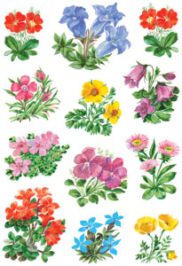 HERMA autocollants DECOR 