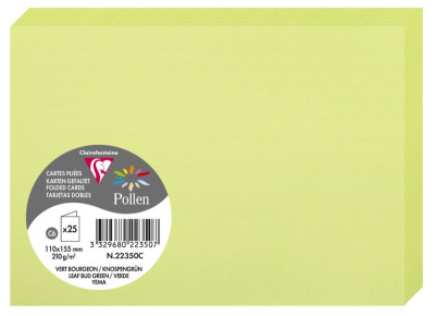 Pollen by Clairefontaine Carte double C6, vert menthe