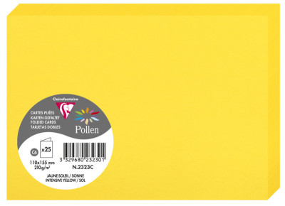 Pollen by Clairefontaine Carte double C6, clémentine