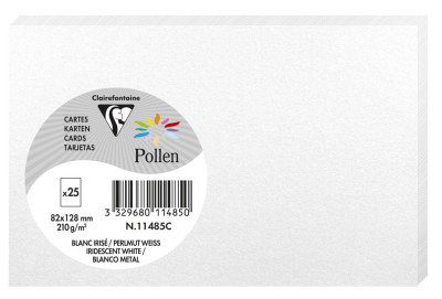 Pollen by Clairefontaine Carte 82 x 128 mm, vert menthe
