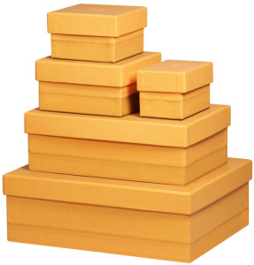 RHODIA Kit de 5 boîtes de rangement, en similicuir, orange