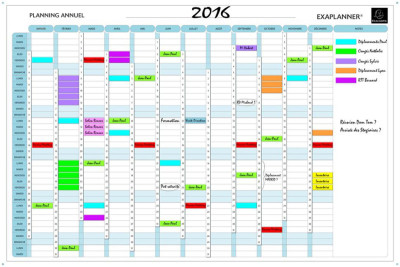 EXACOMPTA Planning annuel Exaplanner, (L)610 x (H)475 mm