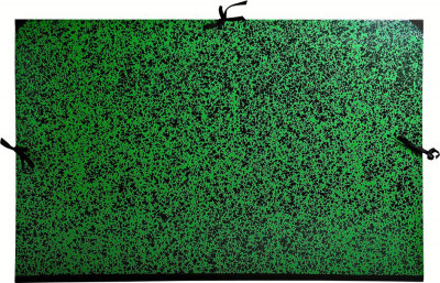 EXACOMPTA Carton à dessin, 750 x 1.050 mm, carton, vert