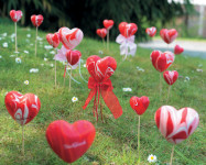 Marabu Peinture pour marbrure  Marabu Peinture pour marbrure