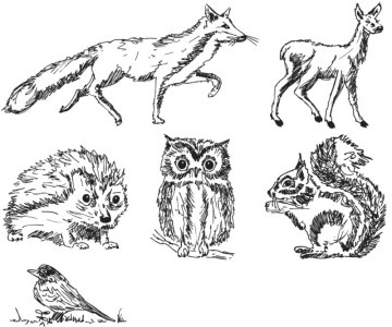 HEYDA Motivstempel set « animaux de la forêt », de bois, 6 pièces