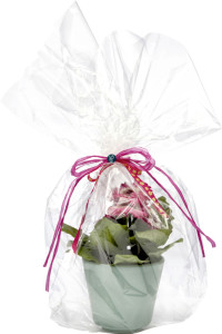 folia Film pour emballage cadeau, 20 mu, non imprimé,