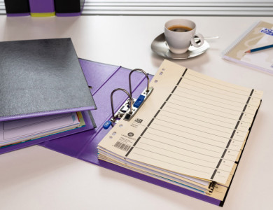 ELBA intercalaires avec perforation, format A4 extra large,