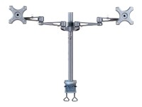 NewStar : LCD MONITOR ARM 5 MOVEMENTS SILVER LENGTE 500MM